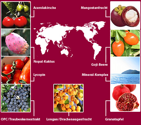 Acerolakirsche, Mangostanfrucht, Nopal-Kaktus, Goji-Beeren, Lycopin, Mineral-Komplex, OPC/Traubenkernextrakt, Logan/Drachenaugenfrucht, Granatapfel